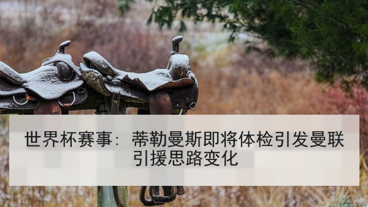 世界杯赛事: 蒂勒曼斯即将体检引发曼联引援思路变化