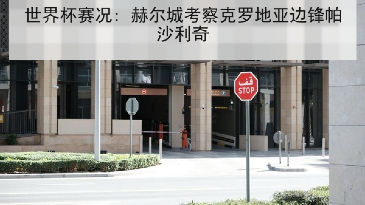世界杯赛况: 赫尔城考察克罗地亚边锋帕沙利奇