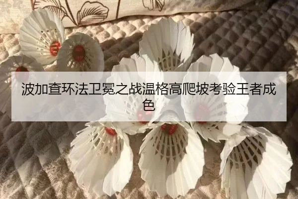 bo-jia-cha-huan-fa-wei-mian-zhi-zhan-wen-ge-gao-pa-po-kao-yan-wang-zhe-cheng-se-3-409.jpg